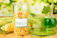Henleaze biofuel availability
